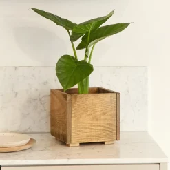 Shop Hannun Jardinière Nico